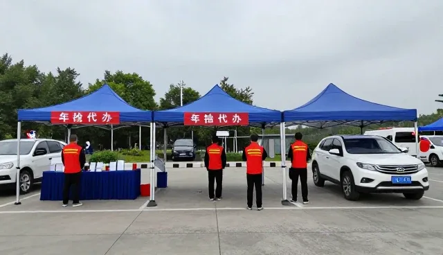 年检代办服务的适用条件与性能表现分析